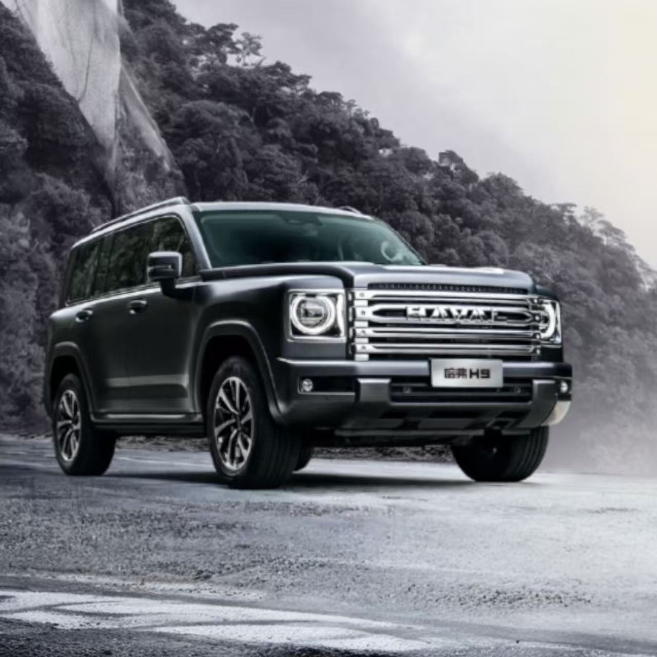 HAVAL H9
