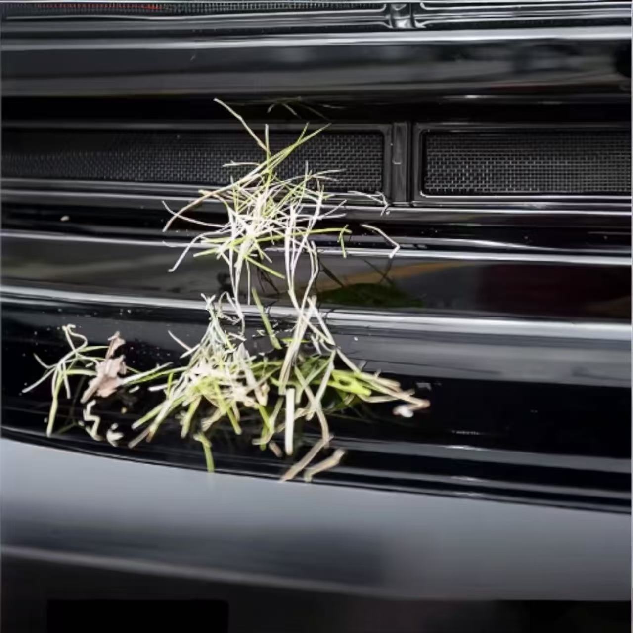 Insect-Proof Grille Net - Tank 700 | شبك حماية من الحشرات